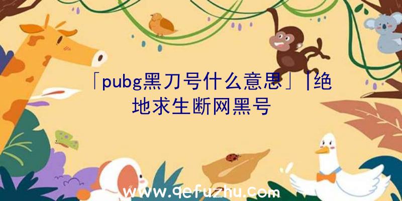 「pubg黑刀号什么意思」|绝地求生断网黑号